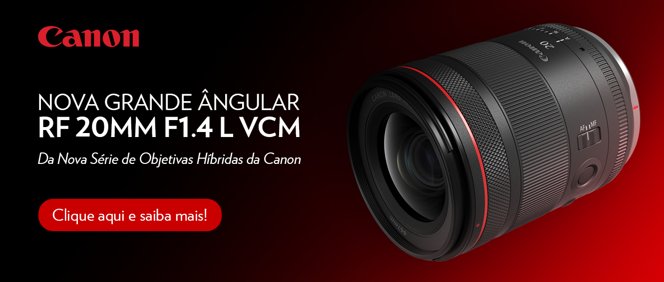 RF 20 VCM